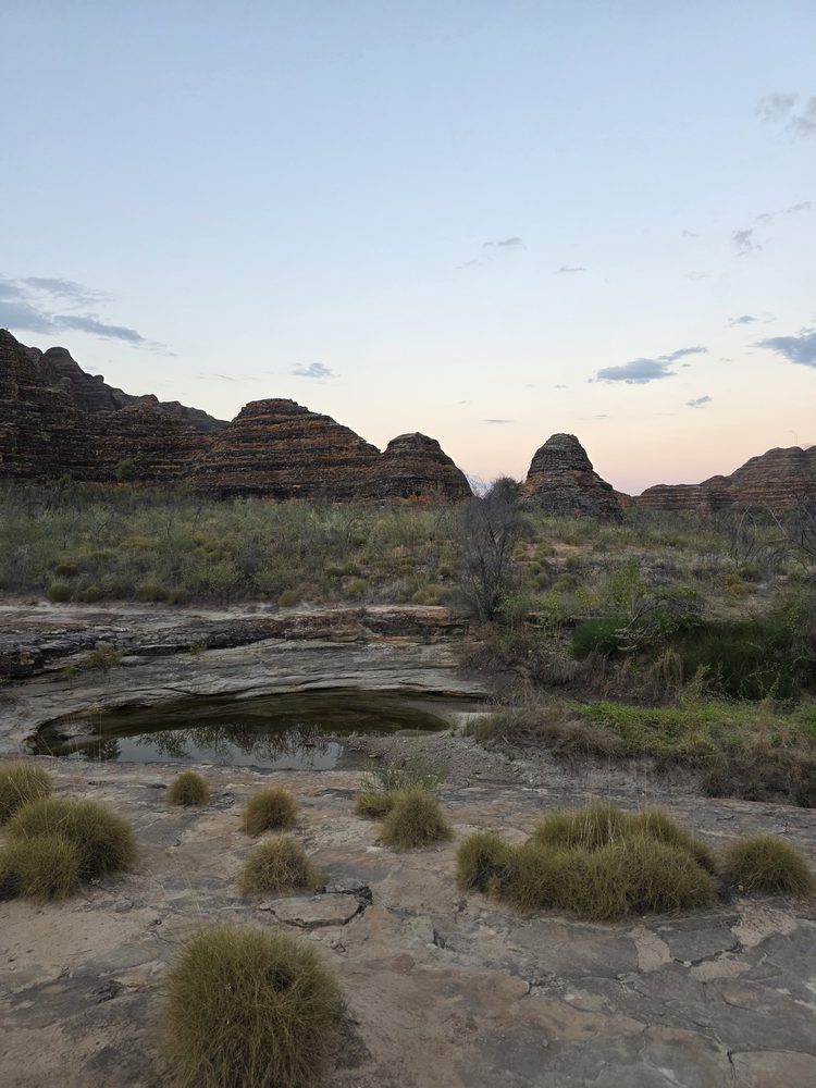 Beehive-shaped sandstone domes above a rock pool and spinifex at Purnululu National Park
